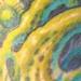 tattoo galleries/ - Bio organic color tattoo