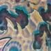Tattoos - Bio organic skull color tattoo - 56233