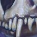 tattoo galleries/ - Skull morph.