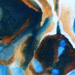 tattoo galleries/ - skull 