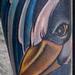 Tattoos - Heron, sleeve in progress - 75248