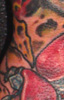 tattoo galleries/ - Organica Bug Sleeve - 52569