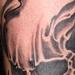 tattoo galleries/ - untitled
