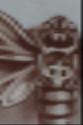 tattoo galleries/ - sepia study - 53698