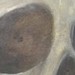 tattoo galleries/ - Skull  Slate
