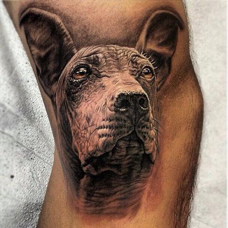 Stefano Alcantara - Peruvian Hairless dog