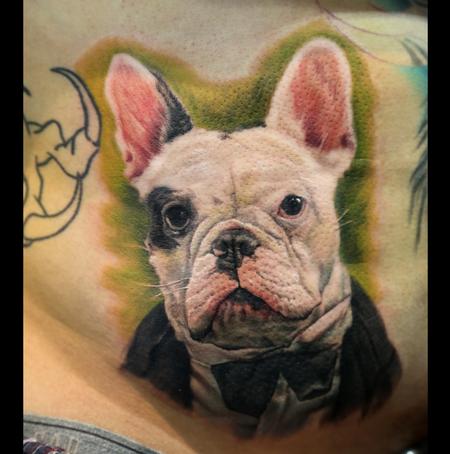 Stefano Alcantara - French Bulldog Portrait