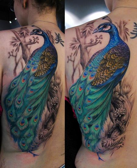 Tattoos Stefano Alcantara Peacock tattoo click to view large image