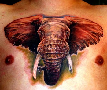 Tattoos - Elephant Tattoo - 34299