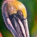tattoo galleries/ - 