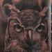 tattoo galleries/ - Owl tattoo - 54813