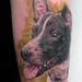 tattoo galleries/ - Dog Portrait
