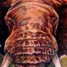 tattoo galleries/ - Elephant Tattoo