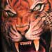 Tattoos - Freehand Tiger tattoo - 33078