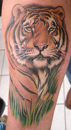 tattoo tiger. Tattoos? tiger rrrrrrrr