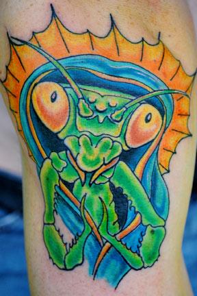 Aran Campas - Praying Mantis of Guadalupe