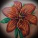 Tattoos - Orange Tiger Lily - 58252