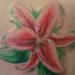 Tattoos - tiger lily tattoo - 56932