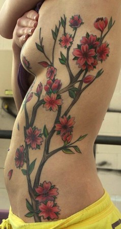 Teresa Sharpe - cherry blossom branch