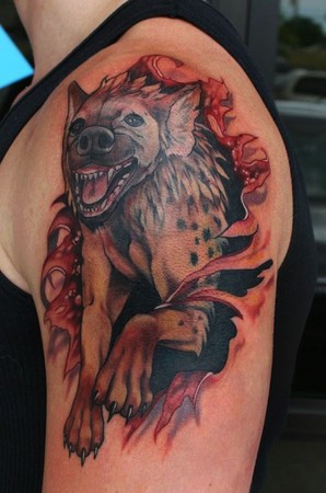 Hyena Skin