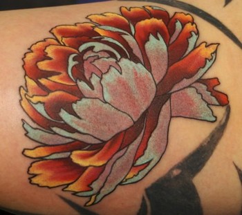 Teresa Sharpe - Mark Burns Peony