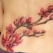 Tattoos - Cherry Blossom Branch - 57569