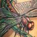Tattoos - Dragonfly - 67056