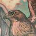 Tattoos - Red Tail Hawk Tattoo - 63904