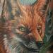 Tattoos - Boy Scout Fox Woodbage Tattoo - 64345