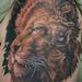 Tattoos - Lion Tattoo - 63757