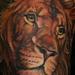 Tattoos - Lion - 71223