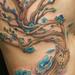 Tattoos - cherry blossom tree - 57567