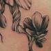 Tattoos - Black and Grey Flowers - 46020