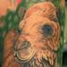 Tattoos - Camel - 53583