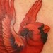Tattoos -  - 43096