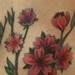 Tattoos - cherry blossom branch - 46021