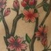 Tattoos - Cherry Blossom branch view 2 - 46022