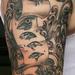 Tattoos - Darwin Half Sleeve detail - 55940