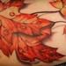 Tattoos - Fall Leaves - 59752