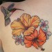 Tattoos - Humming Bird and Hibiscus - 49449