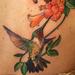 Tattoos - Humming Bird and Trumpet Vine Tattoo - 55938