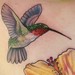 Tattoos - A detail of the humming bird. - 49451