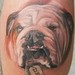 Tattoos - Monti's dog - 46031
