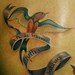 Tattoos - Swallows and ribbons - 46032