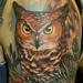 Tattoos - Owl at Night - 61587