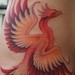 Tattoos - Harry Potter Phoenix tribute - 46034