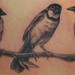 Tattoos - Pretty Birds. - 49453