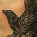 Tattoos - Raven in Flight - 44423