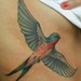 Tattoos - Swallow in flight - 47855