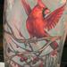 Tattoos - Jordans Cardinal - 59542